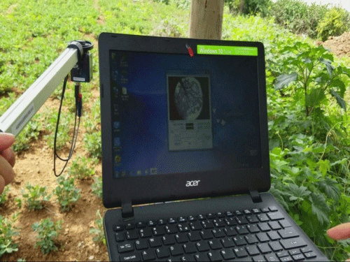 植物冠層圖像分析儀可以測量什么？