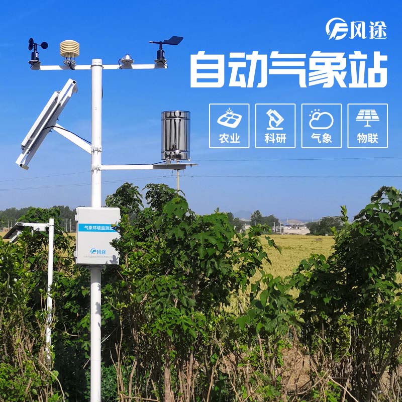 小麥穗期病蟲害如何監(jiān)測？